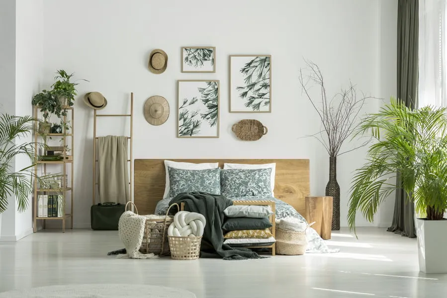 plante-chambre-idee