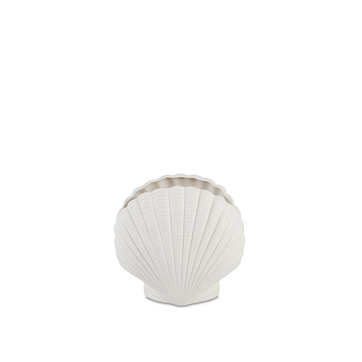 vase-coquillage-dolomite-blanche-guscio-17x9x24-cm