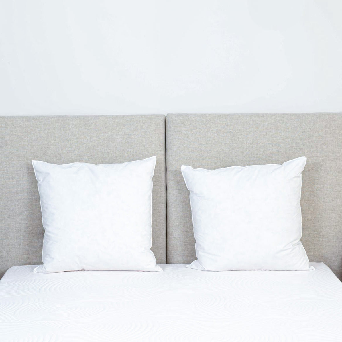 Oreiller Plumes et duvet NATURA