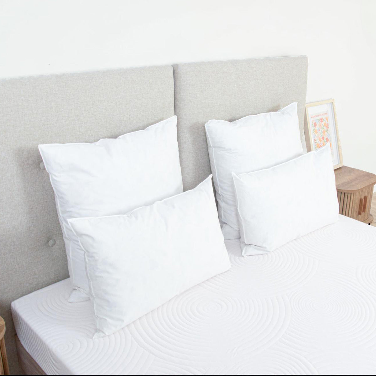 Oreiller Plumes et duvet NATURA