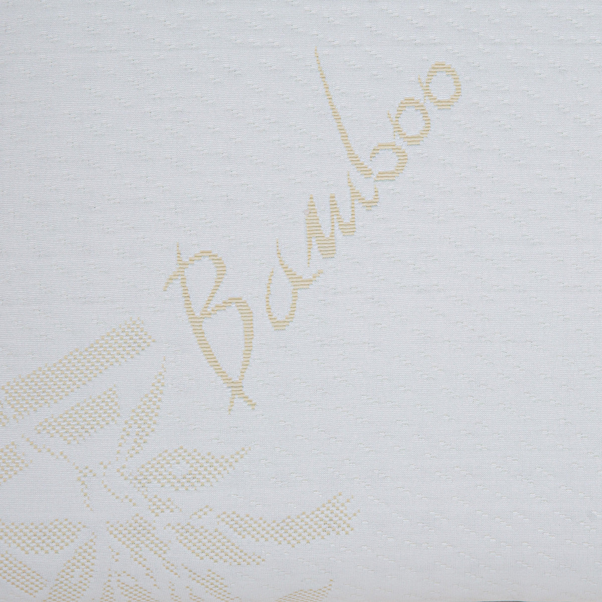 Oreiller Mémoire de forme Moelleux BAMBOO