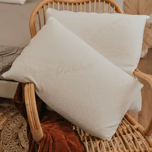 Oreiller Mémoire de forme Moelleux BAMBOO