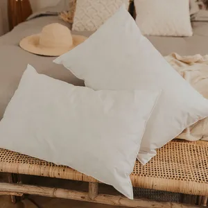 Oreiller Plumes et duvet NATURA