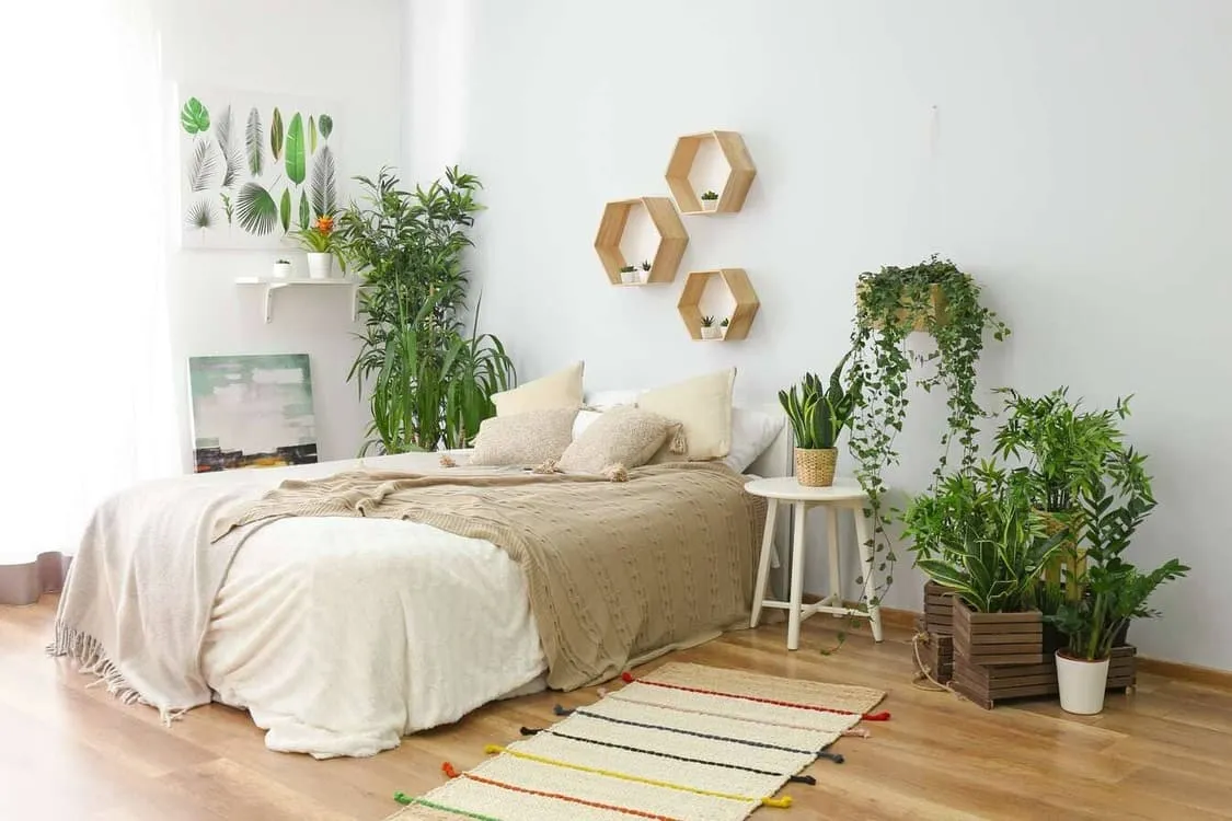 les-bienfaits-des-plantes-dans-une-chambre-pour-un-sommeil-reparateur