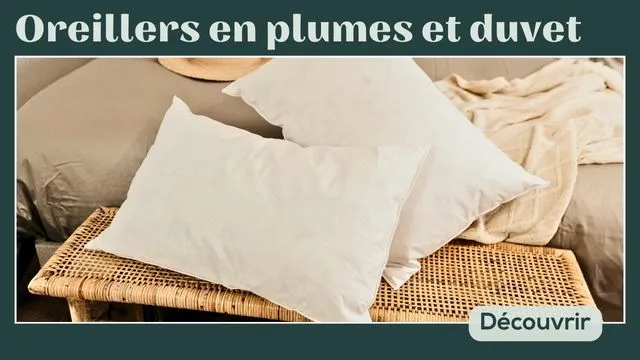 visuel-cs-blog-oreillers-plumes-duvet