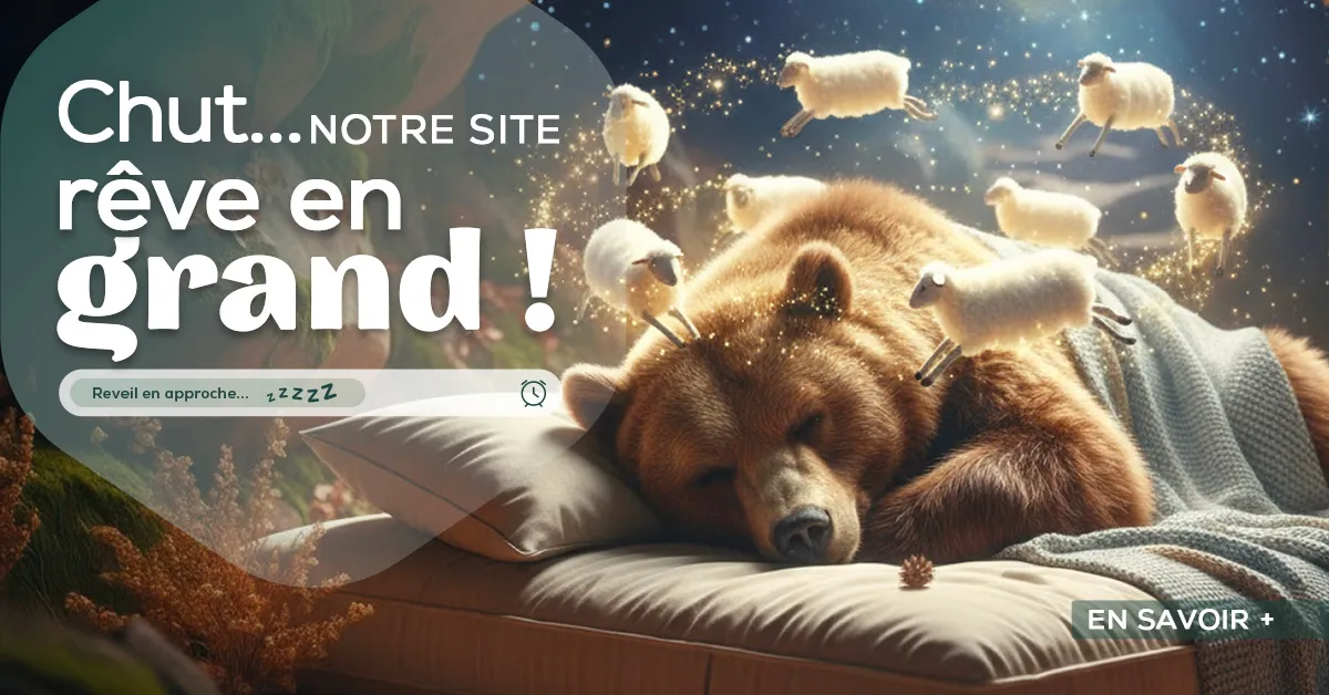 MIG-NOV-NEWSLTR-1200x628