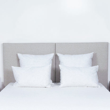 Oreiller Plumes et duvet NATURA