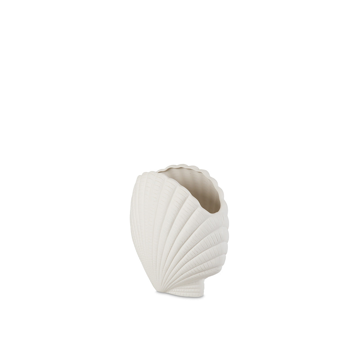 vase-coquillage-dolomite-blanche-guscio-17x9x24-cm