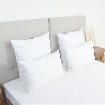 Oreiller Plumes et duvet NATURA